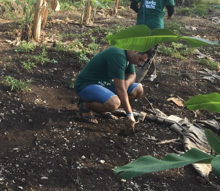 PDS Environment & Gardening program