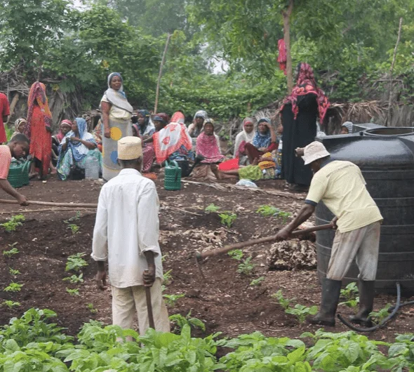 PDS Environment & Gardening program
