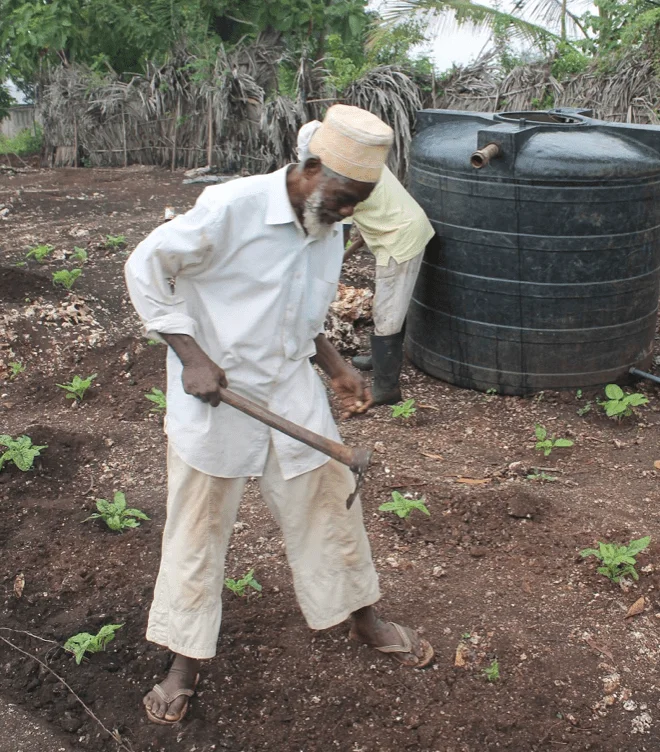 PDS Environment & Gardening program